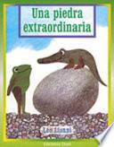 Una piedra extraordinaria