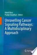 Unravelling Cancer Signaling Pathways: A Multidisciplinary Approach