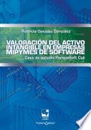 Valoración del activo intangible en empresas mipymes de software
