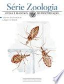 Vetores da doença de Chagas no Brasil
