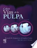 Vias de la pulpa