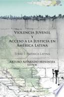 Violencia juvenil y acceso a la justicia.