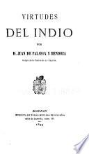 Virtudes del Indio
