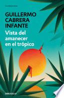 Vista del amanecer en el trópico