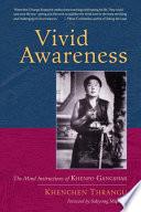 Vivid Awareness