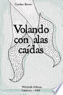 Volando con alas caídas