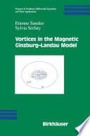 Vortices in the Magnetic Ginzburg-Landau Model