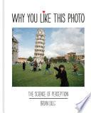 Why You Like This Photo