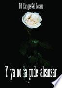 Y ya no la pude alcanzar