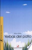 Yerbas del patio