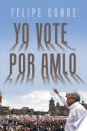 Yo Vote Por Amlo