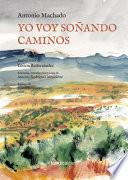 Yo voy soñando caminos