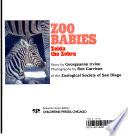 Zelda the Zebra