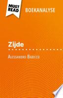 Zijde van Alessandro Baricco (Boekanalyse)