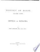 Zoology of Egypt