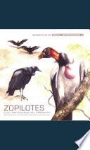 Zopilotes